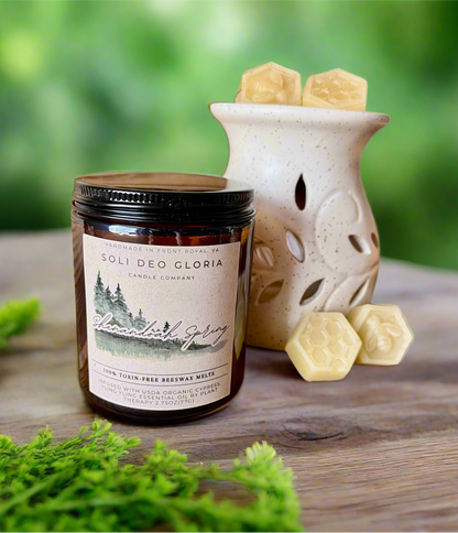 Beeswax Essential Oil Wax Melts for Home