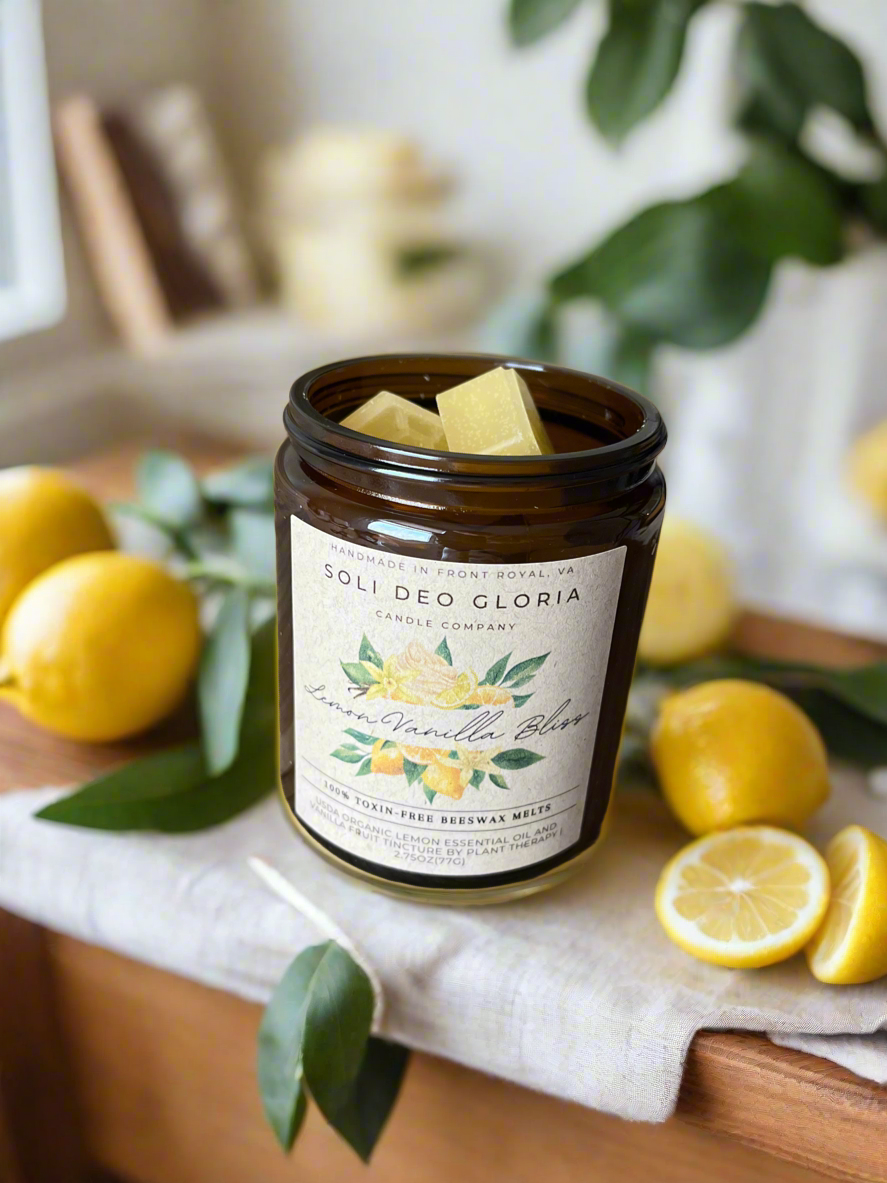 Beeswax Essential Oil Wax Melts for Home