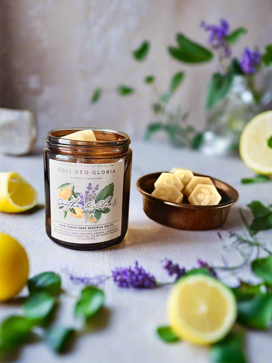 Beeswax Essential Oil Wax Melts for Home