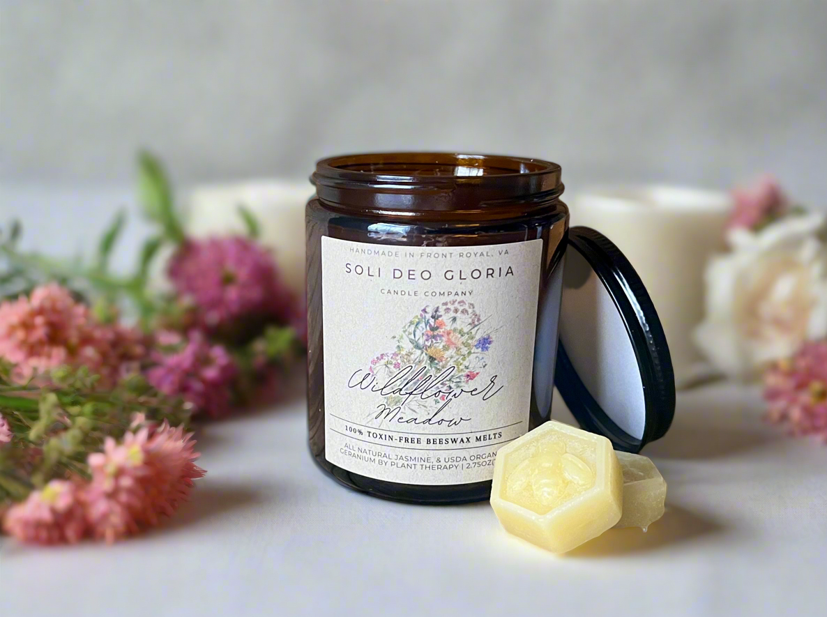 Beeswax Essential Oil Wax Melts for Home