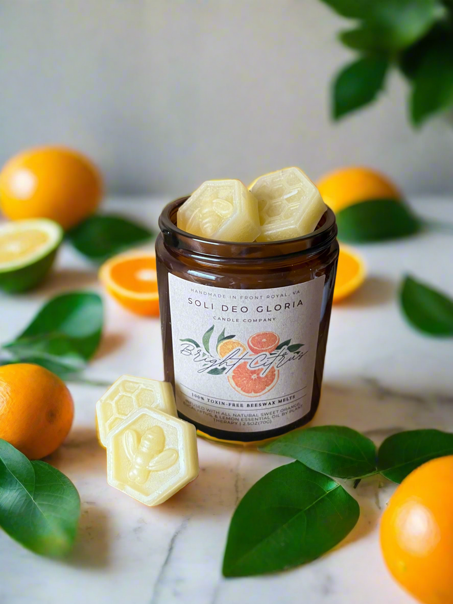 Beeswax Essential Oil Wax Melts for Home