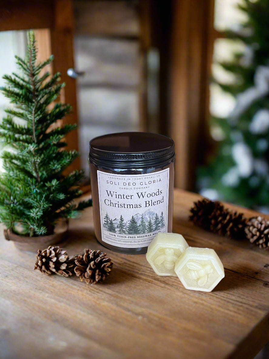 Beeswax Essential Oil Wax Melts for Home