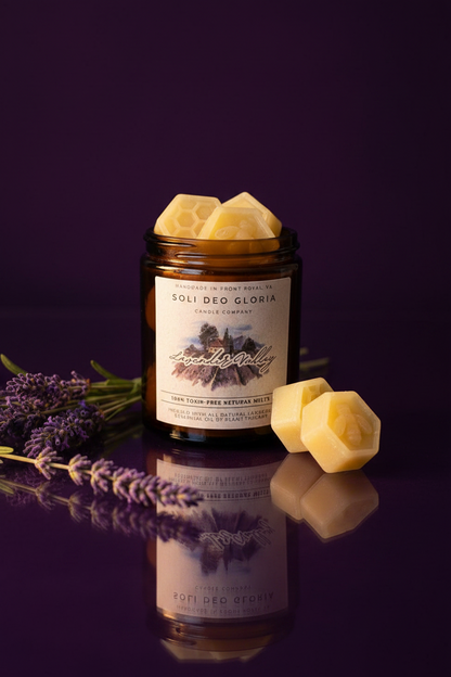 Beeswax Essential Oil Wax Melts for Home