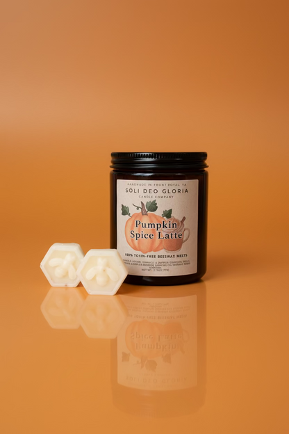 Beeswax Essential Oil Wax Melts for Home
