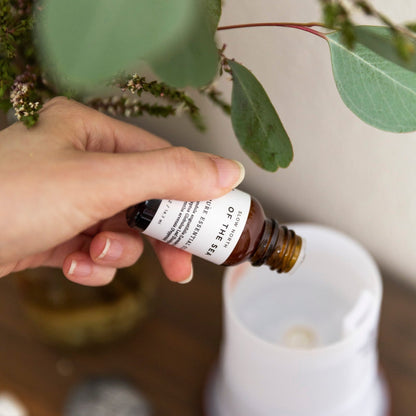 Essential Oil Diffuser Blends for Aromatherapy and Home