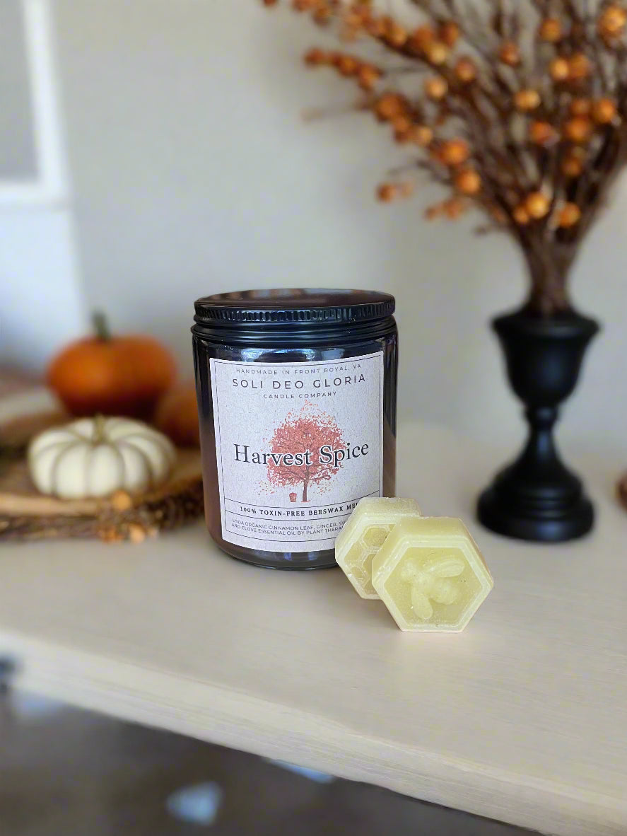 Beeswax Essential Oil Wax Melts for Home